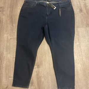 Lane Bryant Indigo Skinny Jeans